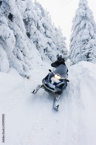 Fotoroleta jazda konna śnieg drzewa mężczyzna ruch