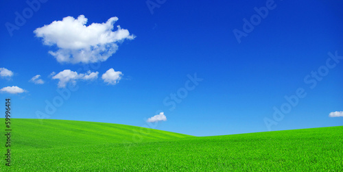Fotoroleta pastwisko wiejski krajobraz