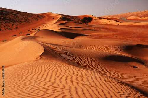 Fotoroleta pustynia wzór bezdroża natura dziki