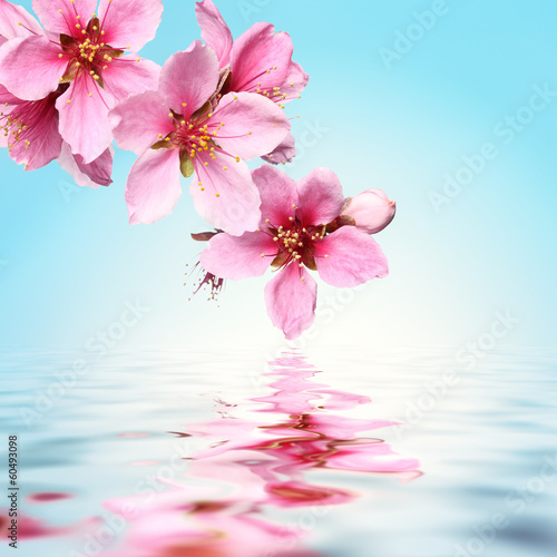 Plakat lato storczyk kwiat piękny