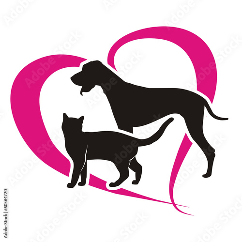 Plakat kot miłość pies zwierzę