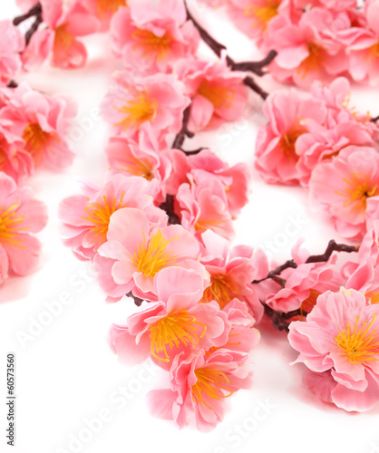 Fototapeta Różowe delikatne kwiatki