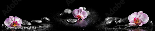 Naklejka storczyk kwiat panorama