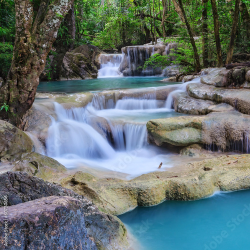 Obraz na płótnie tajlandia świeży dżungla tropikalny natura