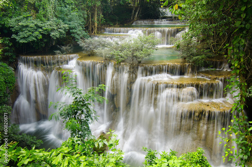 Plakat natura woda tajlandia roślina drzewa