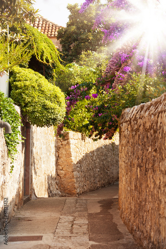Obraz na płótnie Śródziemnomorska uliczka w kwiatach i drzewach