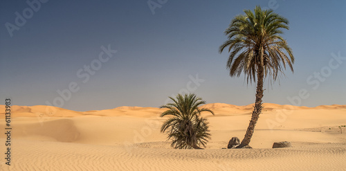 Naklejka pejzaż afryka pustynia wydma
