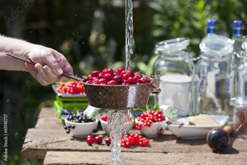 Fototapeta napój ogród woda lato owoc