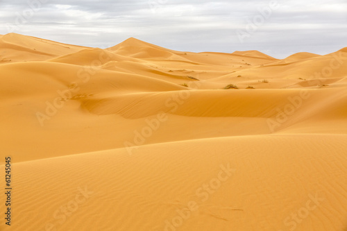 Plakat krajobraz wydma pustynia