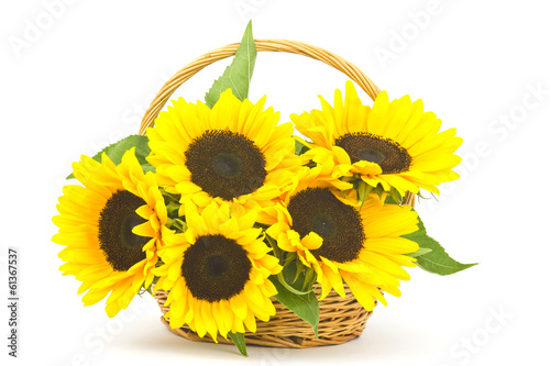 Fotoroleta kompozycja słońce kwiat