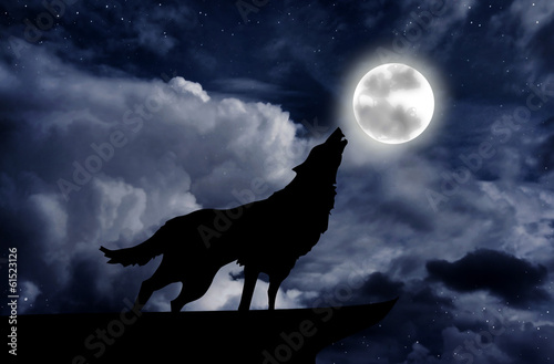Obraz na płótnie pies gwiazda księżyc niebo