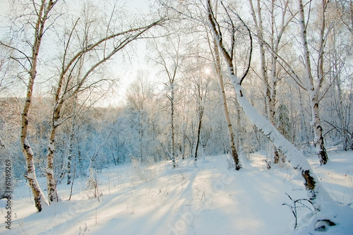 Fotoroleta śnieg słońce pejzaż