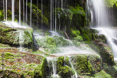 Fotoroleta wodospad pejzaż las mech natura