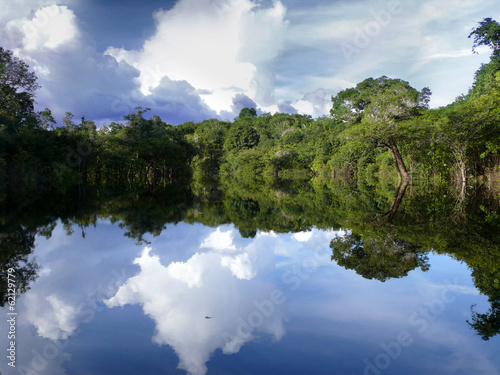 Obraz na płótnie krajobraz drzewa brazylia natura
