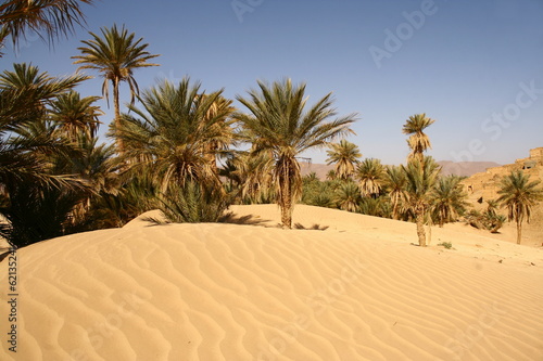 Plakat wydma krajobraz palma oaza niebo