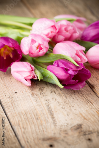 Fotoroleta roślina tulipan kompozycja piękny kwiat