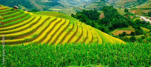 Obraz na płótnie Pola ryżowe w Wietnamie