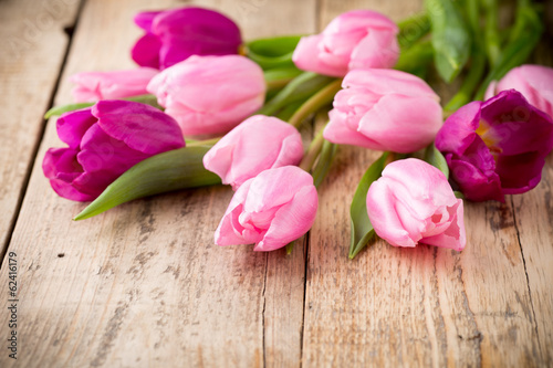 Fotoroleta kompozycja tulipan roślina
