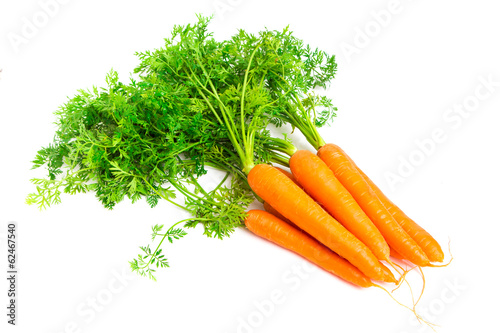 Naklejka jedzenie warzywo zdrowy rolnictwo