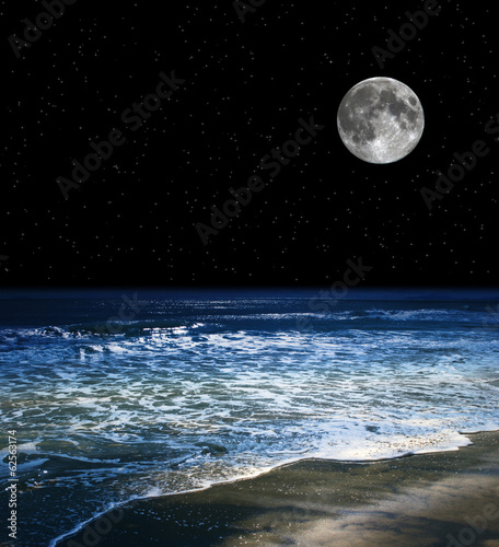 Obraz na płótnie woda gwiazda plaża