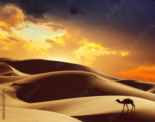 Plakat pustynia lato ssak słońce