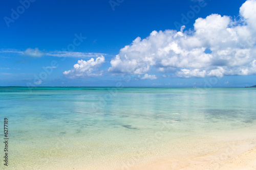 Obraz na płótnie morze lato niebo koral