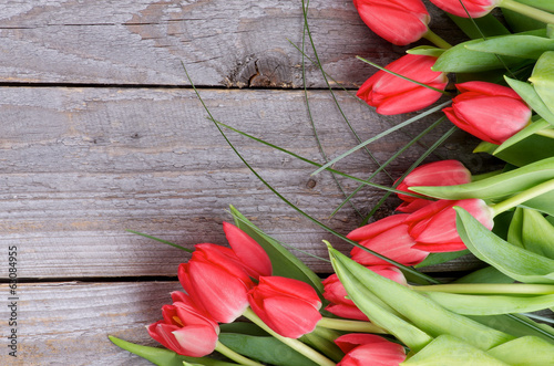 Plakat tulipan trawa piękny bukiet pąk