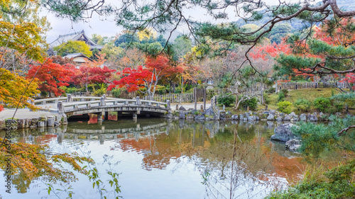 Plakat japoński park japonia natura