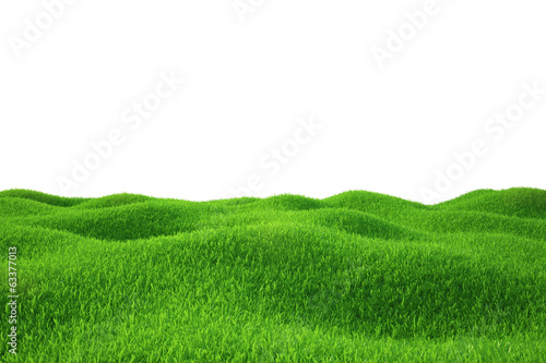 Obraz na płótnie pastwisko łąka ogród natura