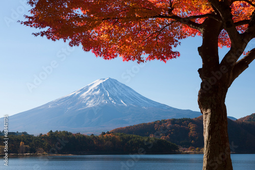 Plakat japonia krajobraz jesień jezioro