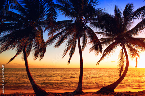 Fotoroleta plaża raj świt palma