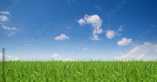 Plakat krajobraz trawa widok pole