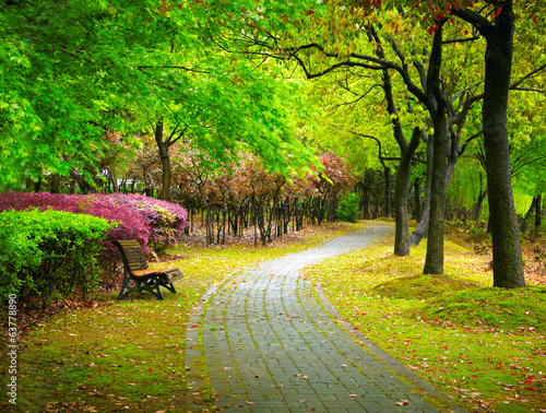 Fototapeta Zielony miejski park w Szanghaju, Chiny