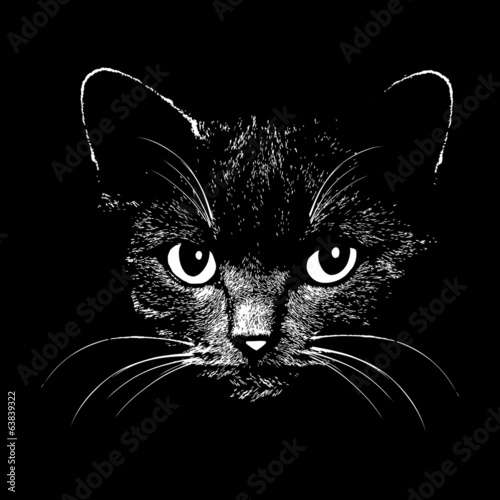 Fototapeta Ilustracja głowy kota w czerni
