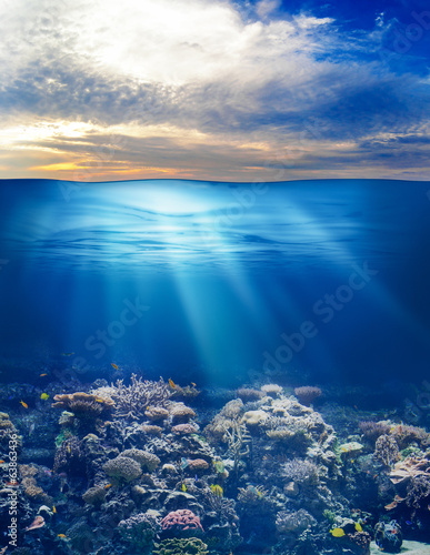 Naklejka woda piękny wzór podwodne słońce