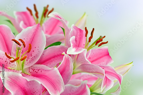 Obraz na płótnie kwitnący kwiat bukiet
