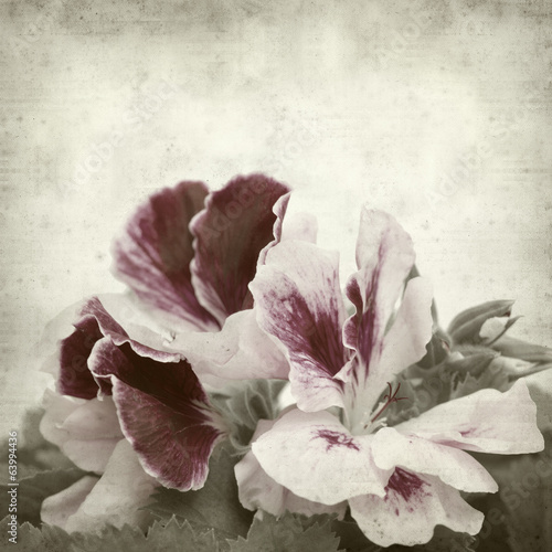 Obraz na płótnie stary piękny retro roślina kwiat