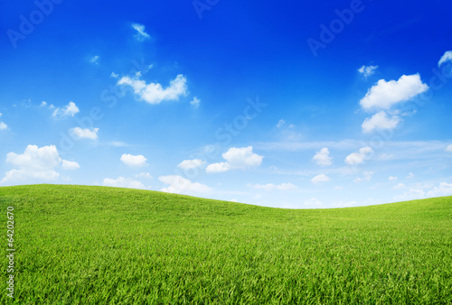 Fotoroleta pastwisko niebo łąka