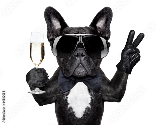 Plakat Pies w okularach z szampanem