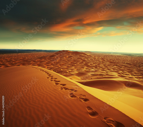 Fototapeta narodowy zmierzch pustynia