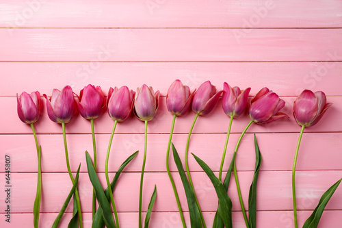 Naklejka tulipan miłość piękny