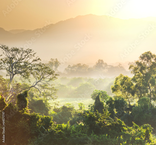 Obraz na płótnie góra natura tropikalny
