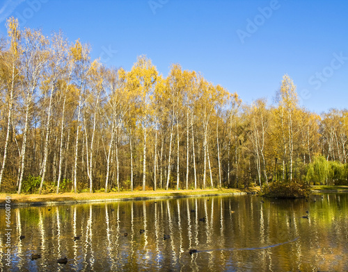 Obraz na płótnie las pejzaż woda błękitne niebo