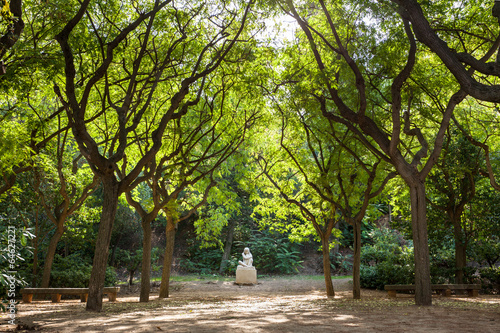 Fotoroleta spokojny drzewa park barcelona