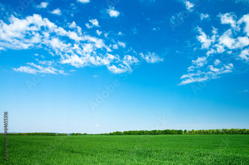 Fototapeta panoramiczny pole widok pastwisko pejzaż