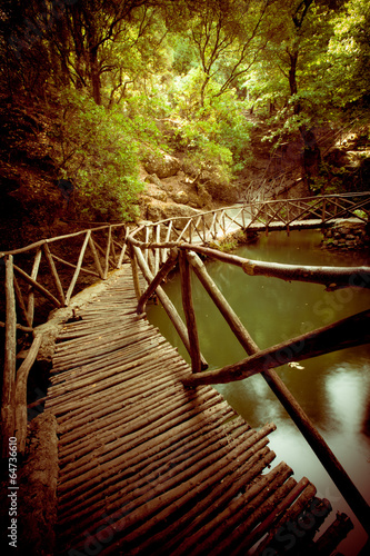 Naklejka most dżungla las