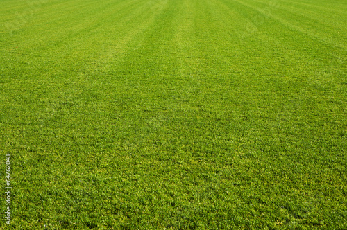 Obraz na płótnie pole trawa stadion piłkarski boisko stadion