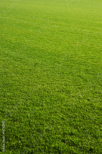 Naklejka pole trawa boisko stadion piłka nożna