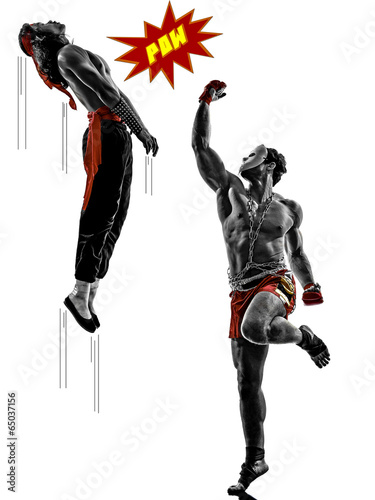 Fotoroleta sport sztuki walki mężczyzna komiks kung-fu