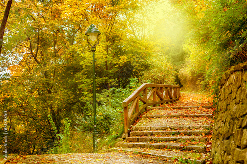 Naklejka Kamienne schody w jesiennym parku